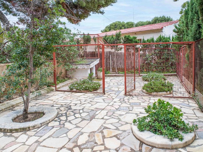 Villa for Sale in Petrer, Alicante 11