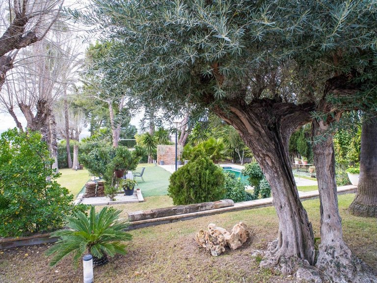 Villa for Sale in Petrer, Alicante 6