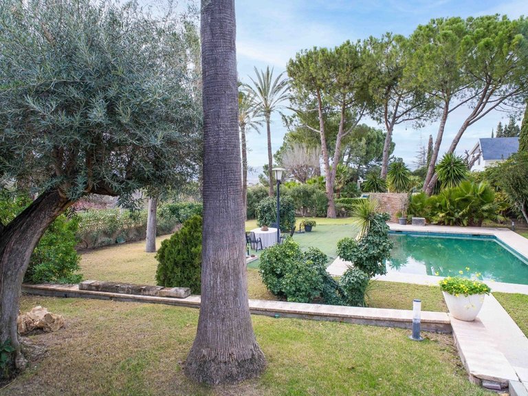 Villa for Sale in Petrer, Alicante 9