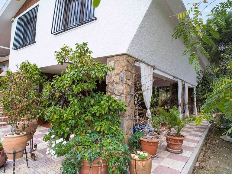 Villa for Sale in Petrer, Alicante 14