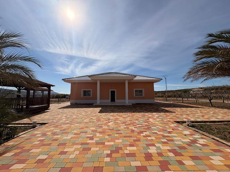 Villa for Sale in Pinoso, Alicante 1