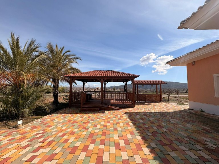 Villa for Sale in Pinoso, Alicante 7