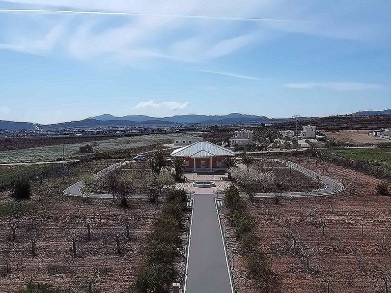 Villa for Sale in Pinoso, Alicante 6