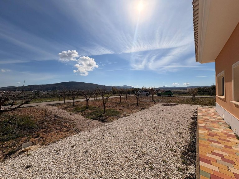 Villa for Sale in Pinoso, Alicante 14