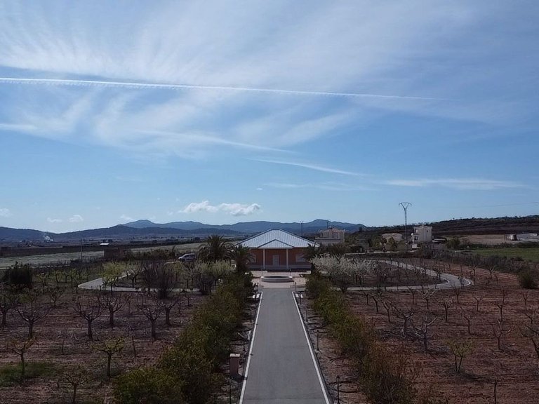 Villa for Sale in Pinoso, Alicante 11