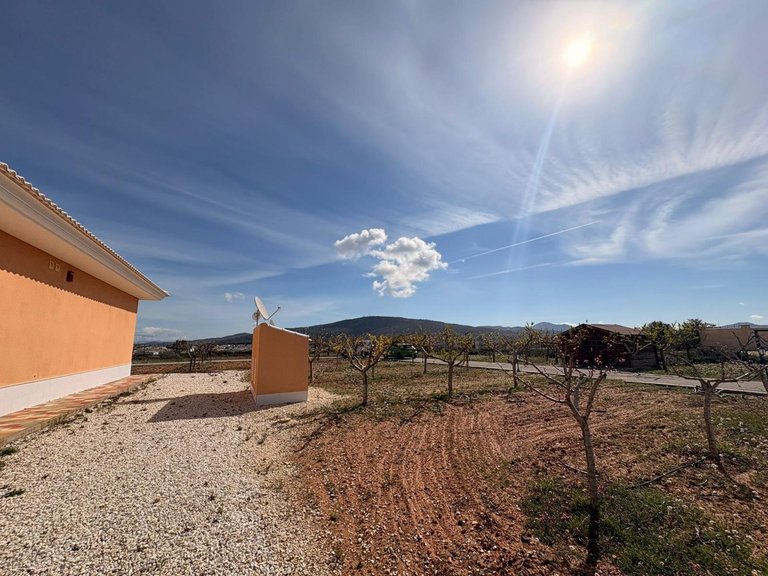 Villa for Sale in Pinoso, Alicante 12
