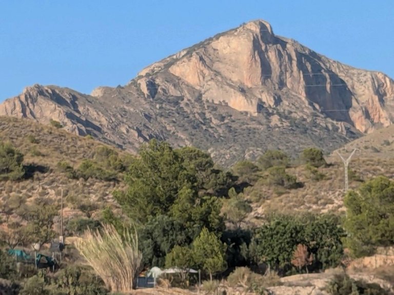 Villa for Sale in Petrer, Alicante 4