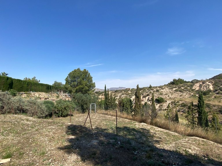 Villa for Sale in Petrer, Alicante 6