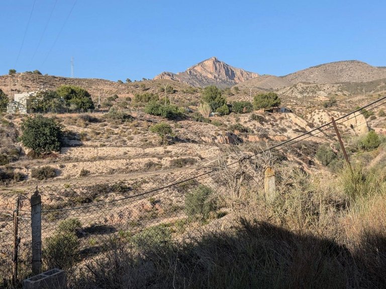 Villa for Sale in Petrer, Alicante 15