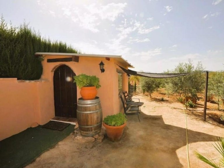 Villa for Sale in Pinoso, Alicante 7