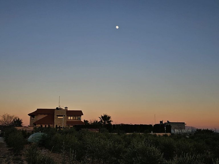 Villa for Sale in Pinoso, Alicante 47