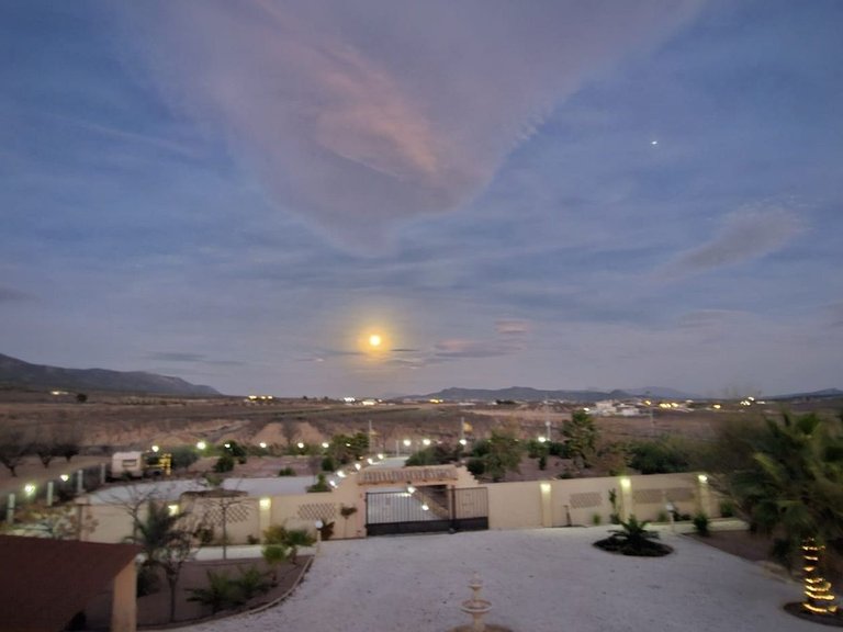 Villa for Sale in Pinoso, Alicante 30
