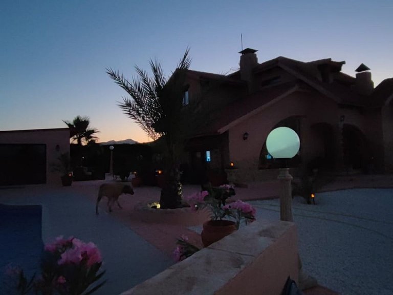 Villa for Sale in Pinoso, Alicante 46
