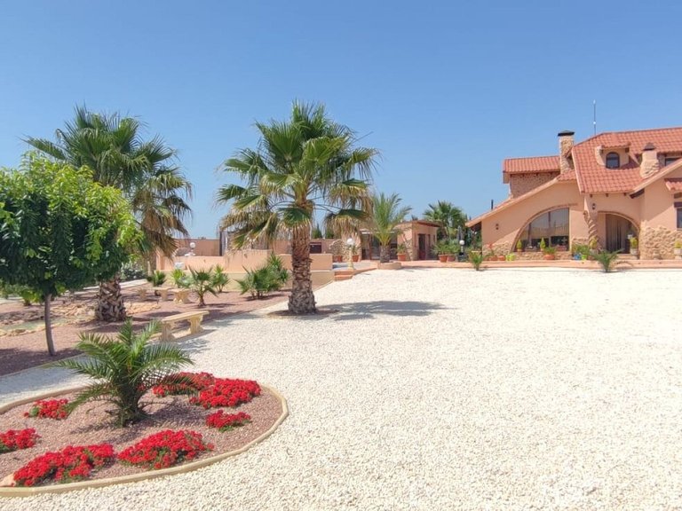 Villa for Sale in Pinoso, Alicante 6