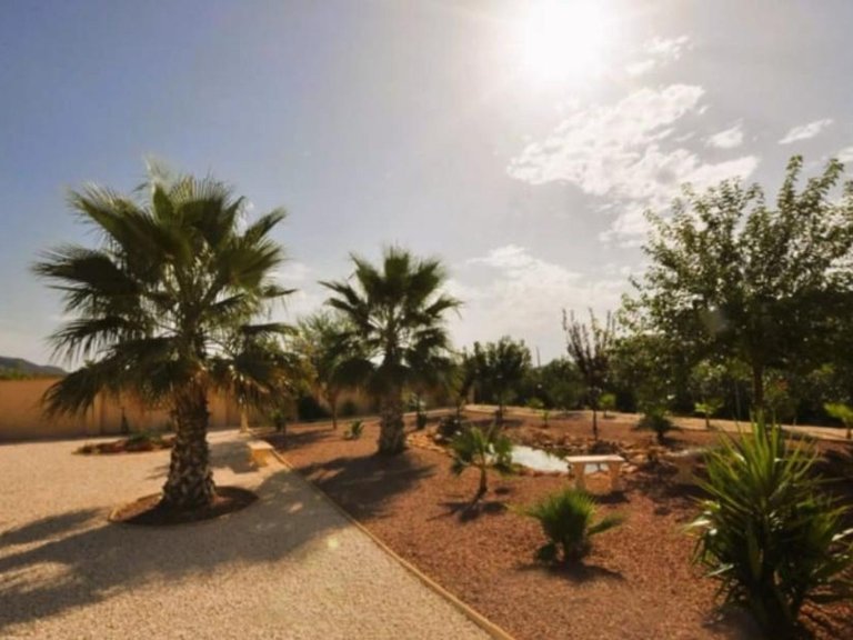 Villa for Sale in Pinoso, Alicante 35