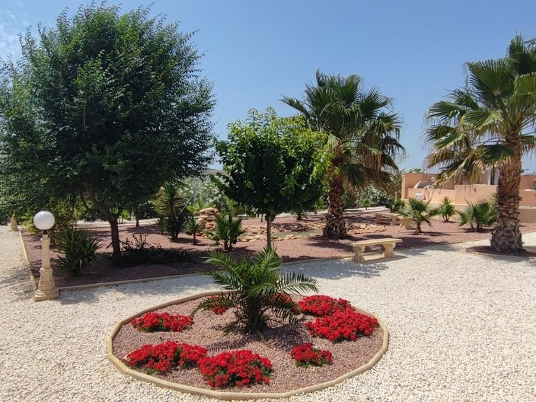 Villa for Sale in Pinoso, Alicante 45