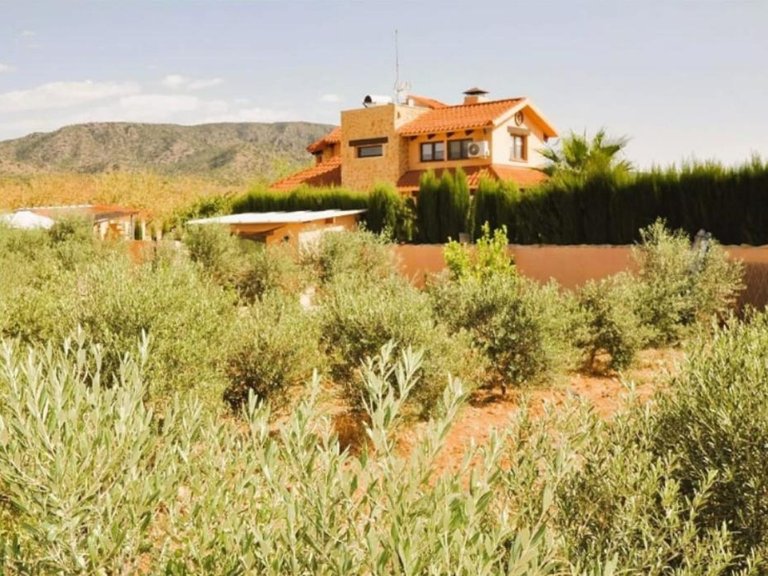 Villa for Sale in Pinoso, Alicante 8