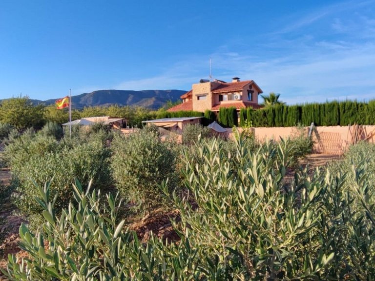 Villa for Sale in Pinoso, Alicante 25