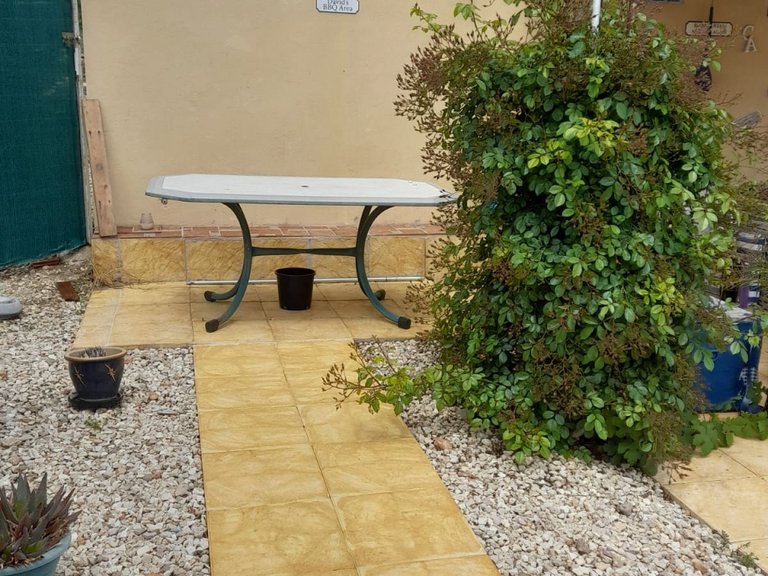 Villa for Sale in Pinoso, Alicante 37