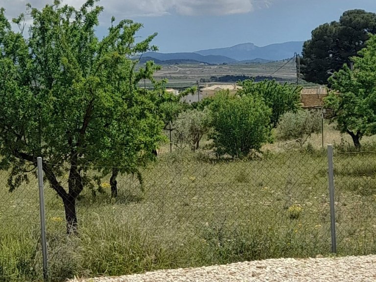 Villa for Sale in Pinoso, Alicante 36