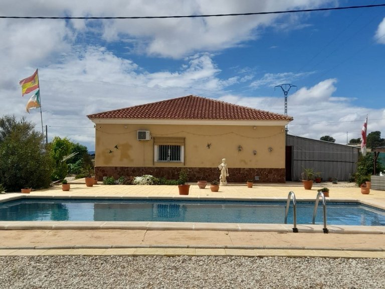 Villa for Sale in Pinoso, Alicante 5