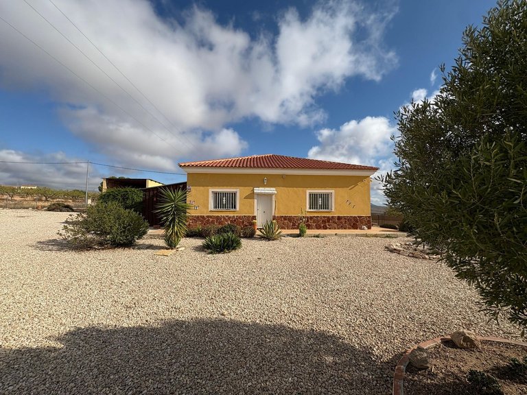 Villa for Sale in Pinoso, Alicante 2