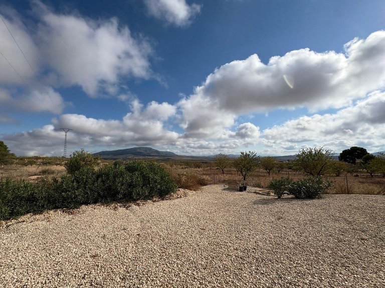Villa for Sale in Pinoso, Alicante 31