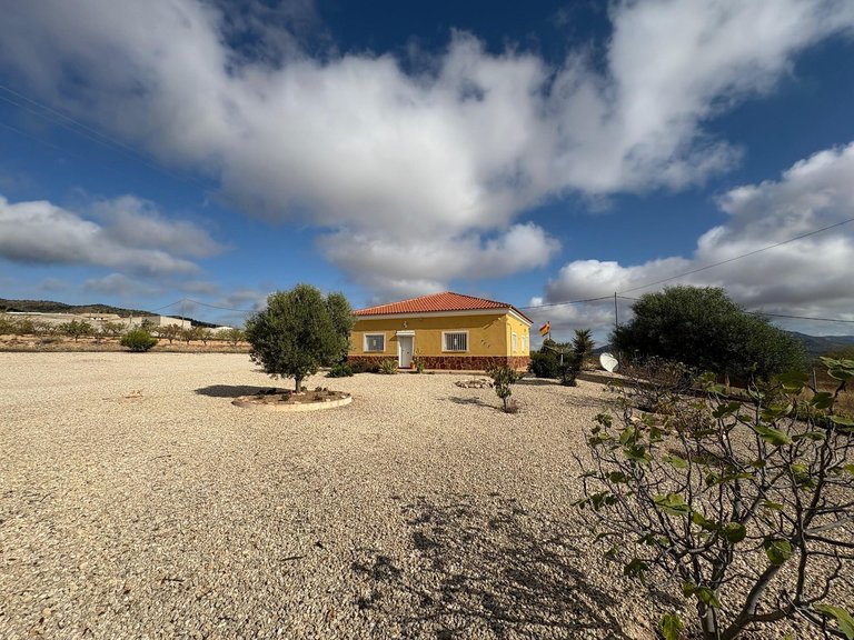 Villa for Sale in Pinoso, Alicante 3