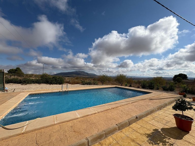 Villa for Sale in Pinoso, Alicante 6