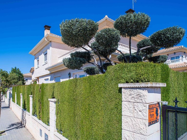 Villa for Sale in Elda, Alicante 22