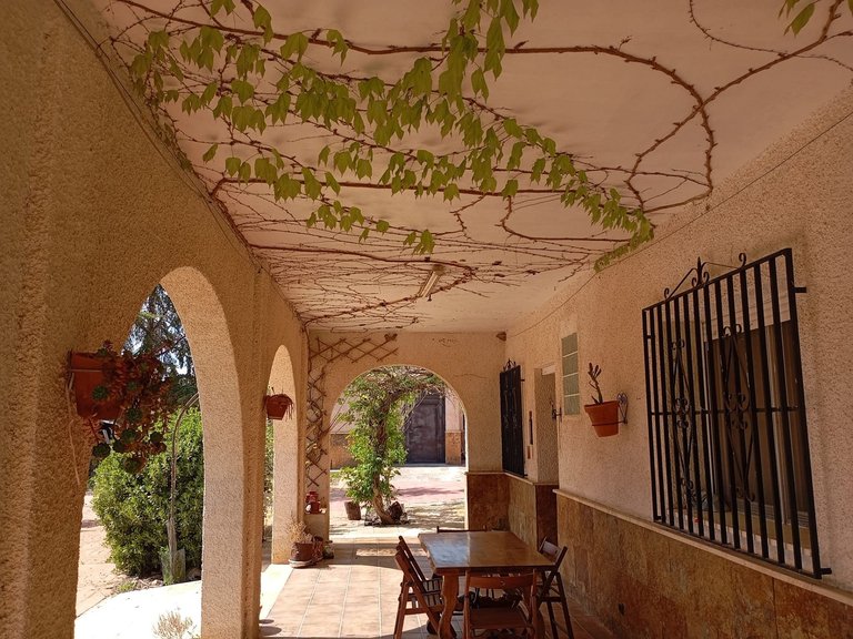 Villa for Sale in Yecla, Murcia 6