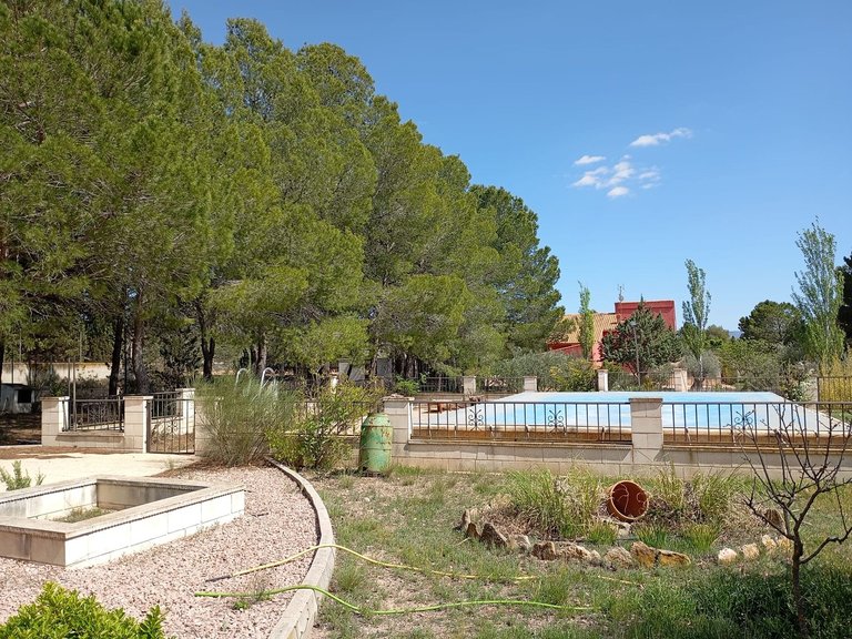 Villa for Sale in Yecla, Murcia 3