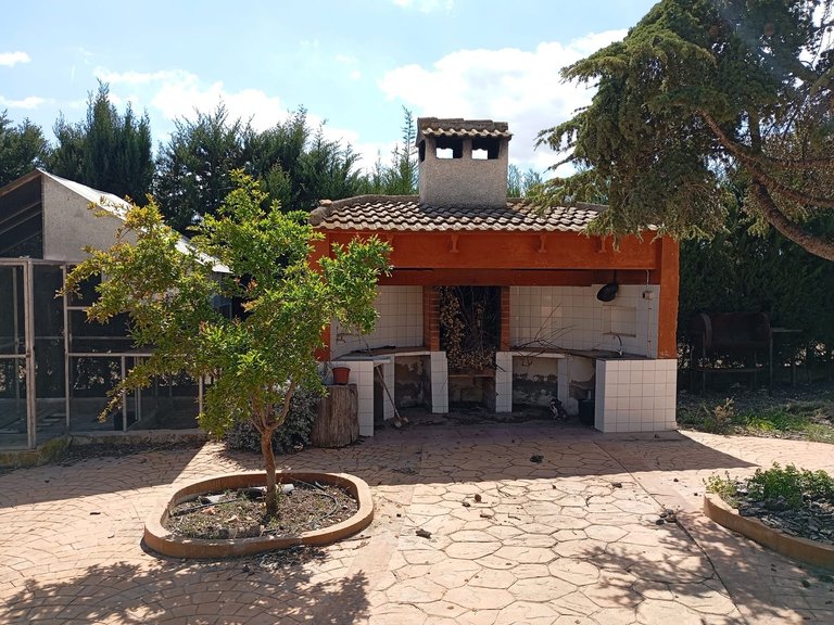 Villa for Sale in Yecla, Murcia 12