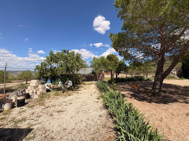 Villa for Sale in Yecla, Murcia 9