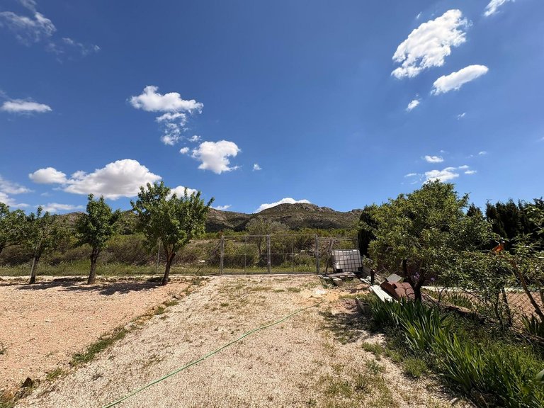 Villa for Sale in Yecla, Murcia 12