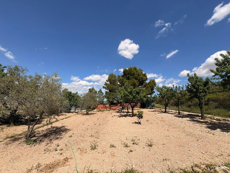 Villa for Sale in Yecla, Murcia 10