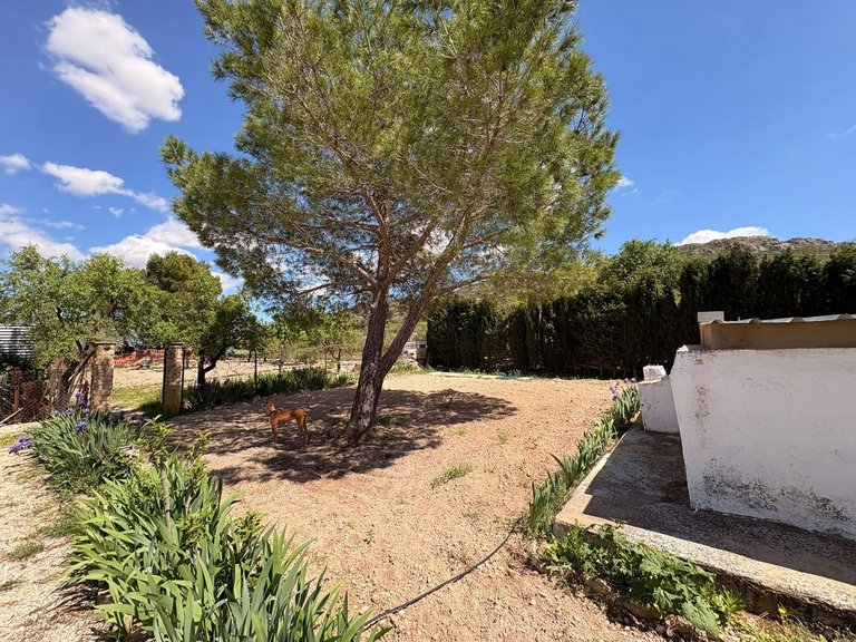 Villa for Sale in Yecla, Murcia 11