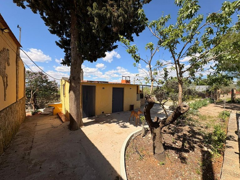 Villa for Sale in Yecla, Murcia 13