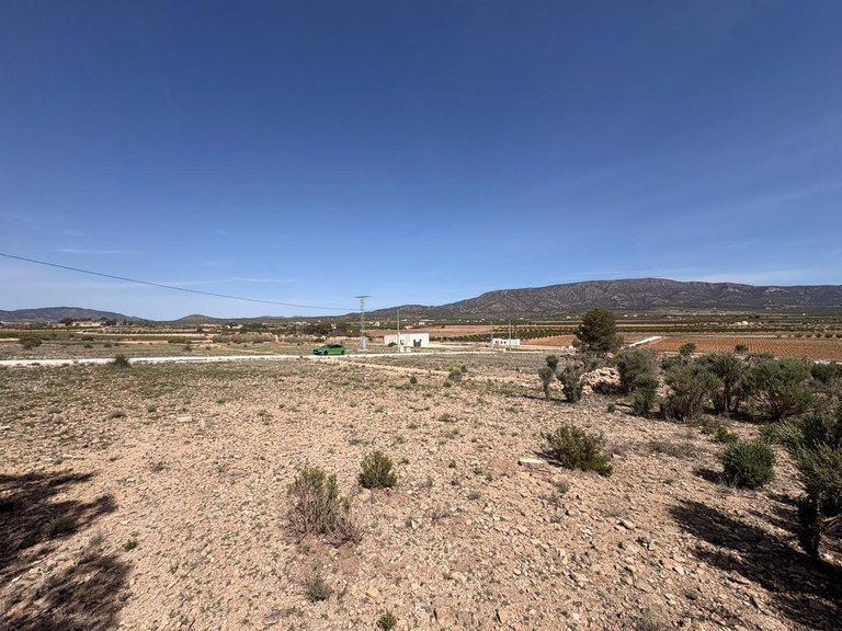 Plot for Sale in Pinoso, Alicante 2