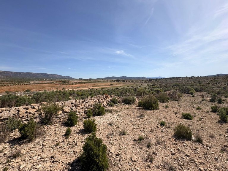 Plot for Sale in Pinoso, Alicante 3