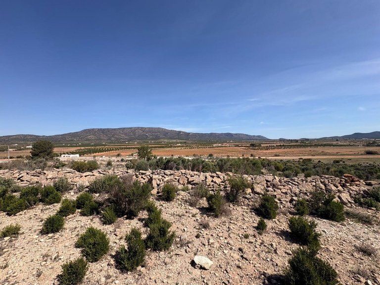 Plot for Sale in Pinoso, Alicante 6