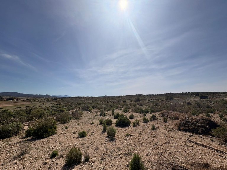 Plot for Sale in Pinoso, Alicante 4