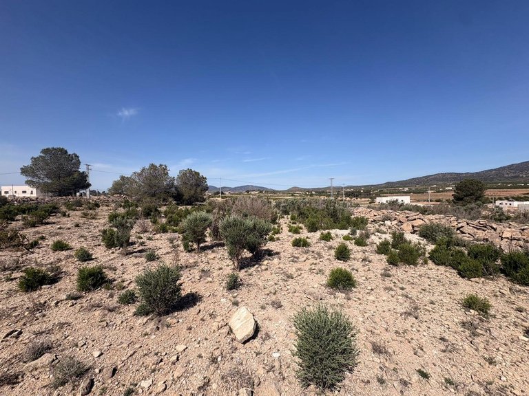 Plot for Sale in Pinoso, Alicante 7