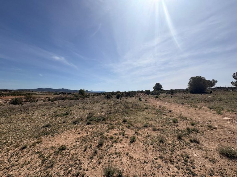 Plot for Sale in Pinoso, Alicante 8