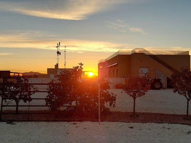Villa for Sale in Pinoso, Alicante 5