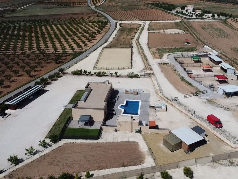 Villa for Sale in Pinoso, Alicante 7