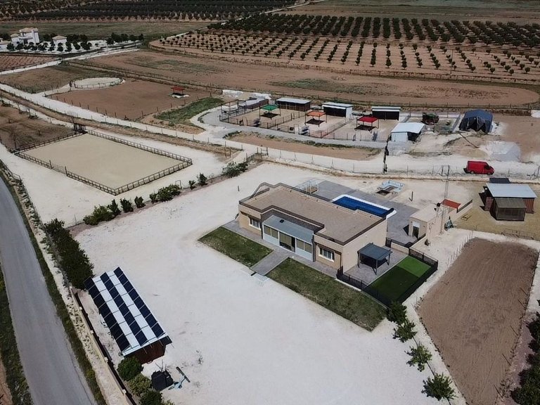 Villa for Sale in Pinoso, Alicante 1