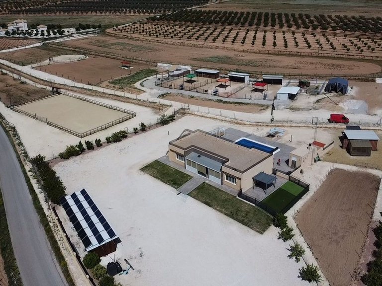 Villa for Sale in Pinoso, Alicante 8