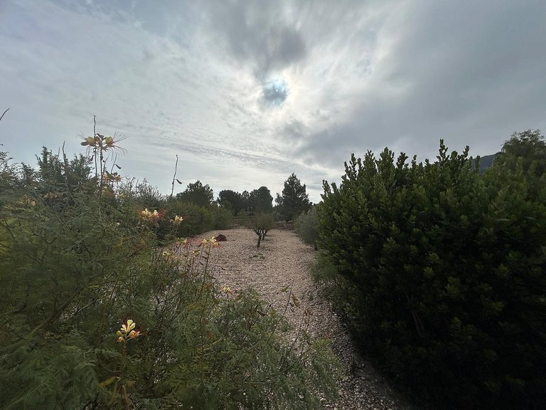 Villa for Sale in Sax, Alicante 14