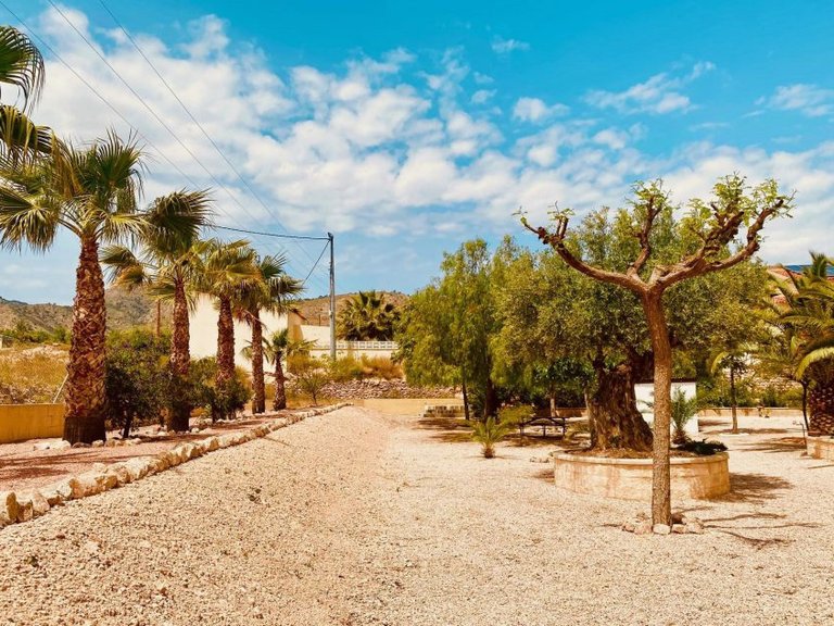 Villa for Sale in Macisvenda, Murcia 12